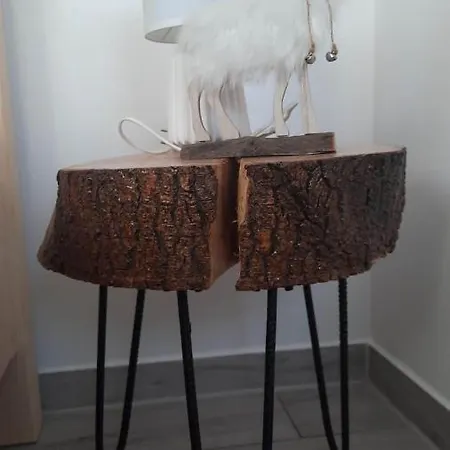 Zakopianski Widok Σαλέ Ζακοπάνε